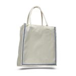 Fancy Shopper with Color Stripe - Image 7